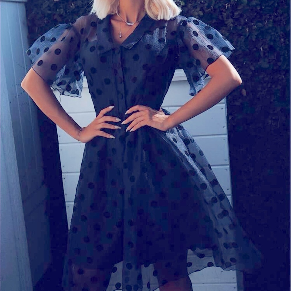 Dot Mesh Overlay Fluted Swing Collar Dress - Picture 5 of 5
